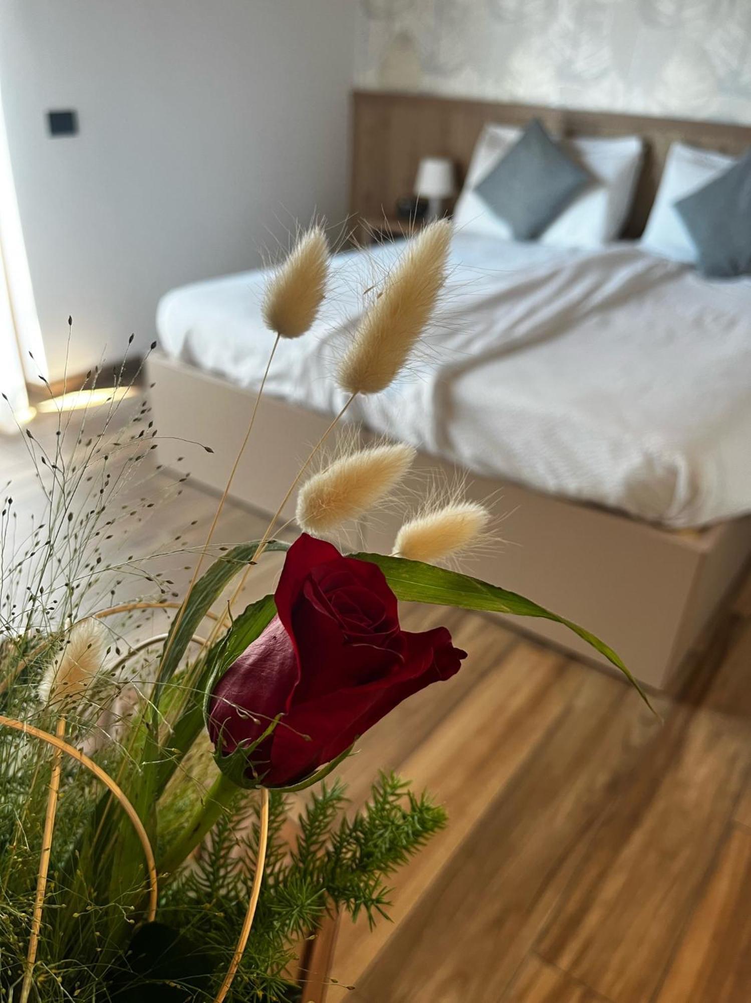 Agriturismo Maso Miri 트렌토 외부 사진